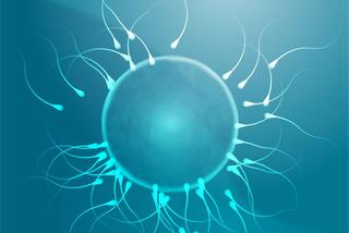 Niepłodność immunologiczna: przyczyny i leczenie niepłodności immunologicznej